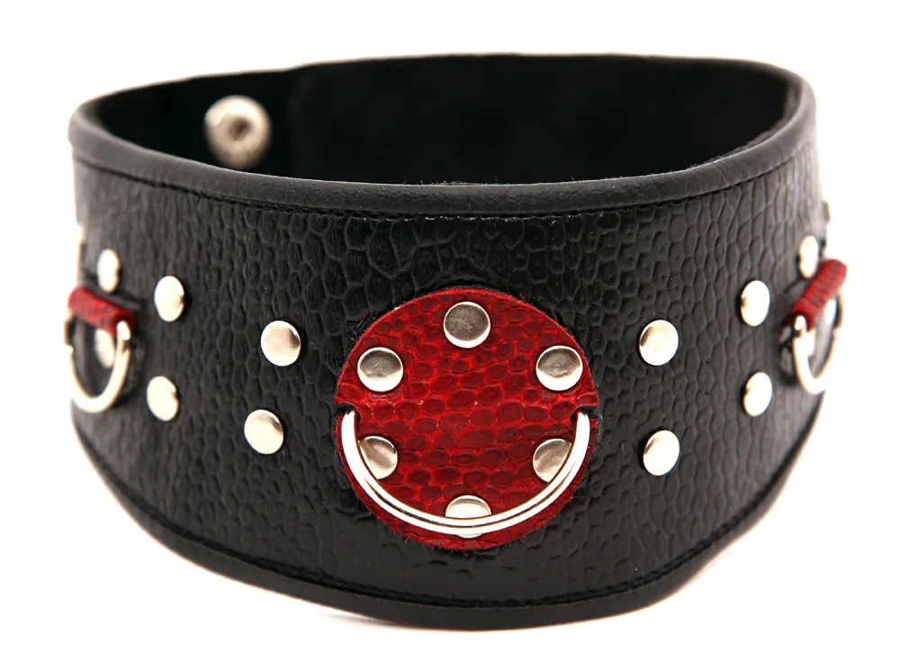 ошейник кожаный с клепками 55006ars в Краснодаре