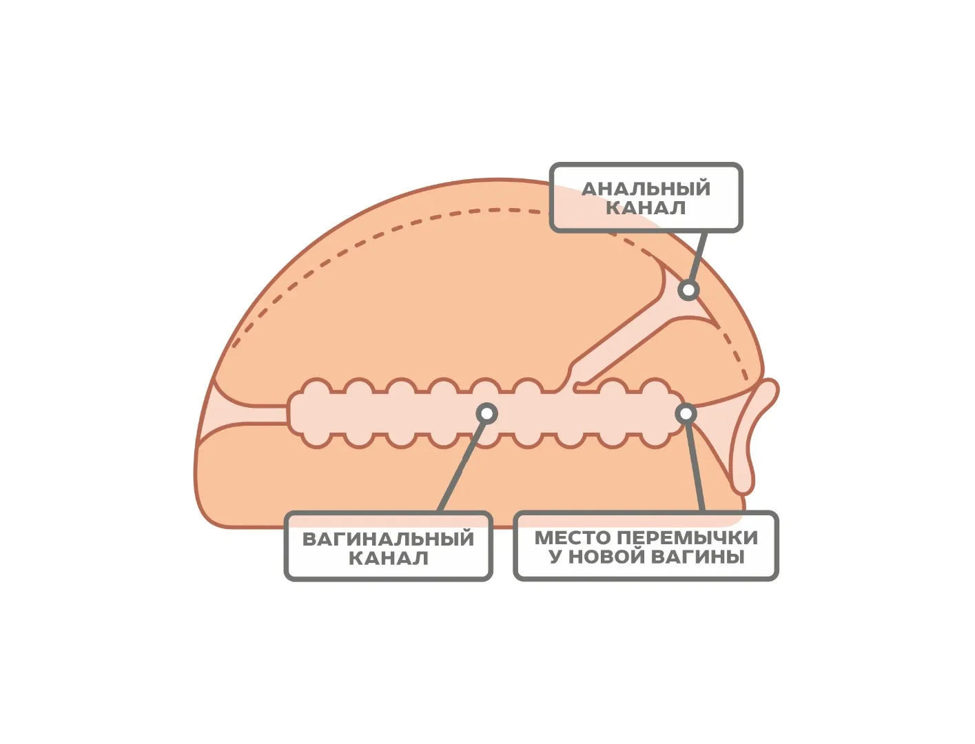 мастурбатор для мужчин 659401ru в Краснодаре