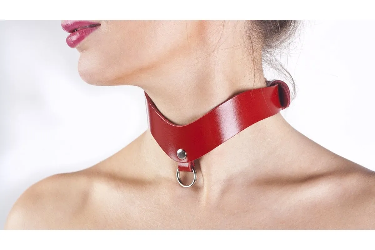 ошейник премиум с кольцом красный в Краснодаре