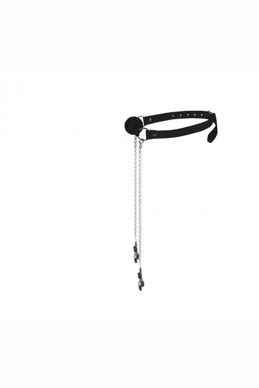 кляп-шарик с зажимами на соски ball gag with nipple clamps в Краснодаре