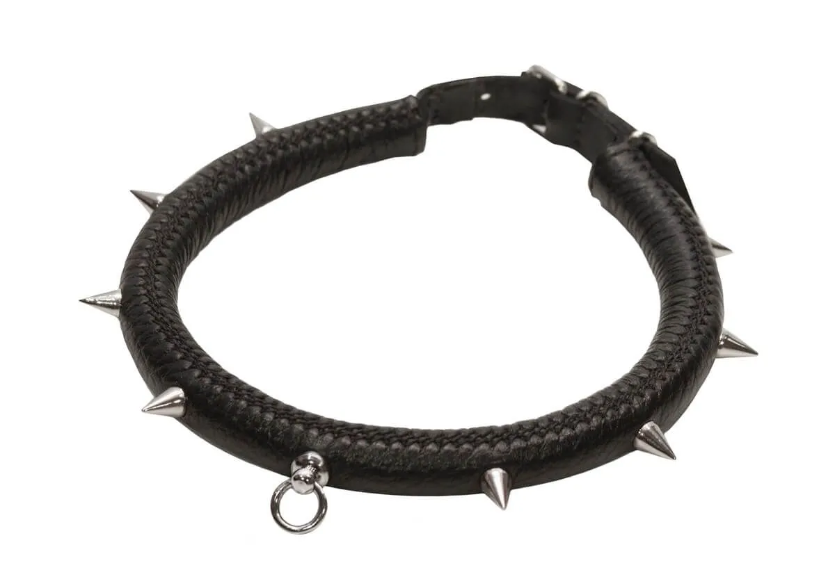 ошейник округлый малый с шипами без поводка, чёрный в Краснодаре