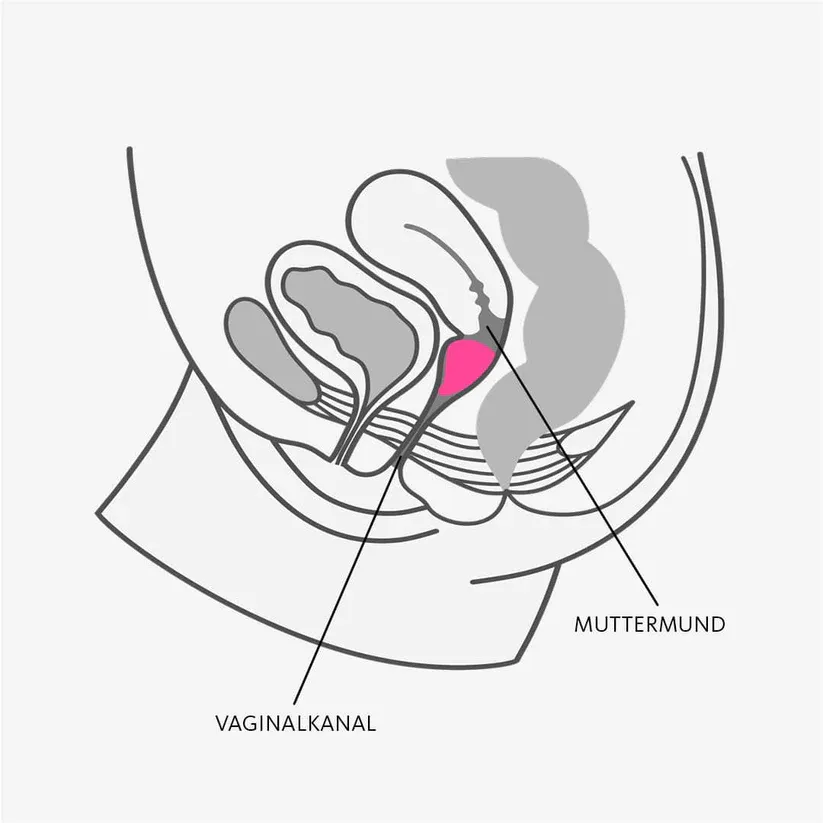 менструальная чаша fun cup «размер б» (фиолетовый)/95006 в Краснодаре