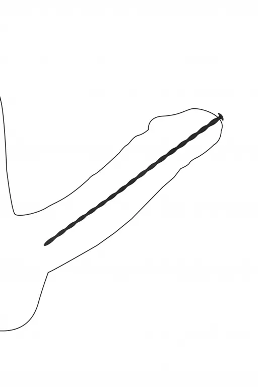 набор из четырех стимуляторов уретры (струн) spiral screw plug set в Краснодаре