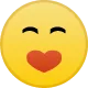 :{}