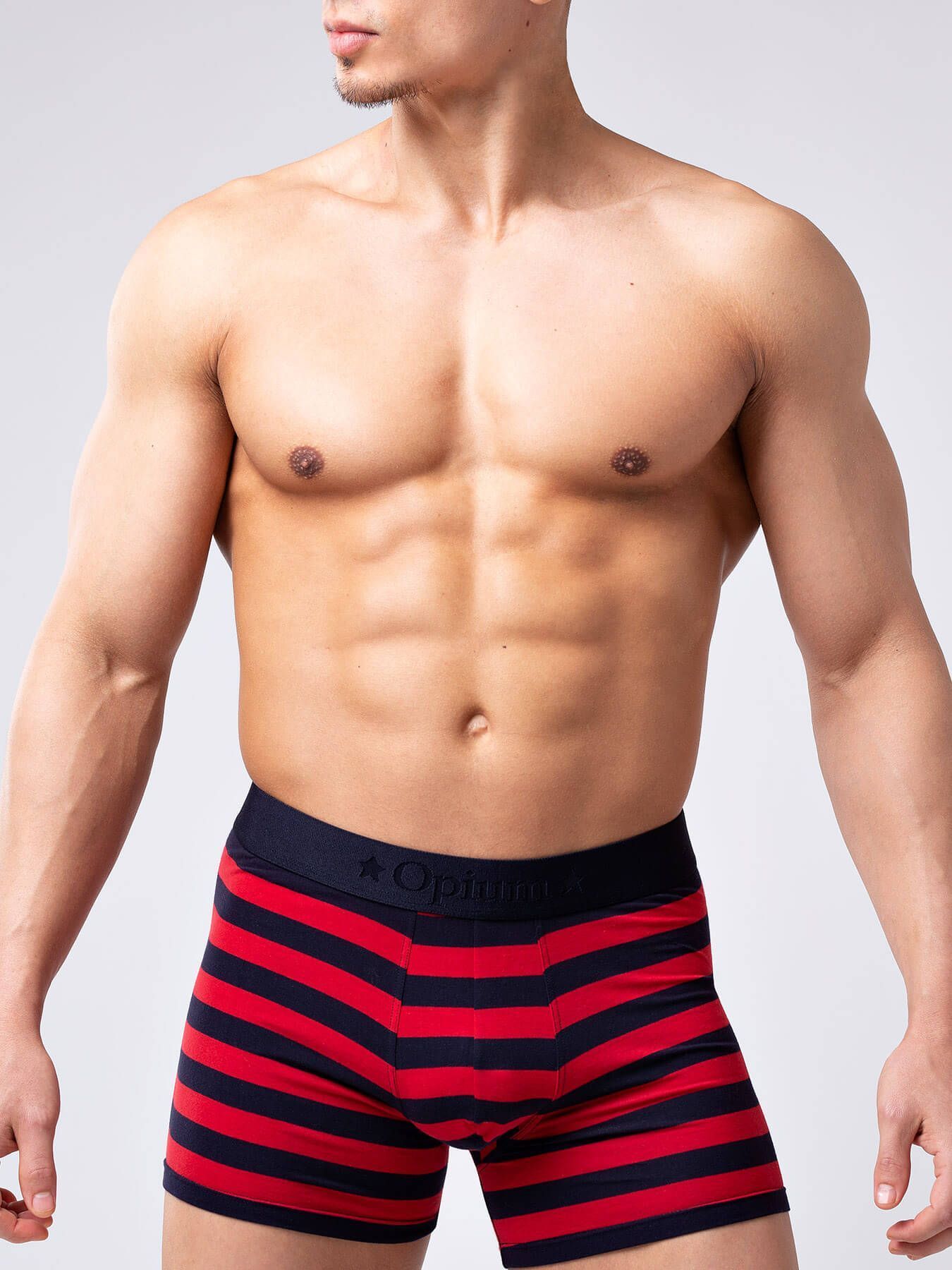 Эротическое трусы мужские удлиненные боксеры opium r126 в полоску в Краснодаре