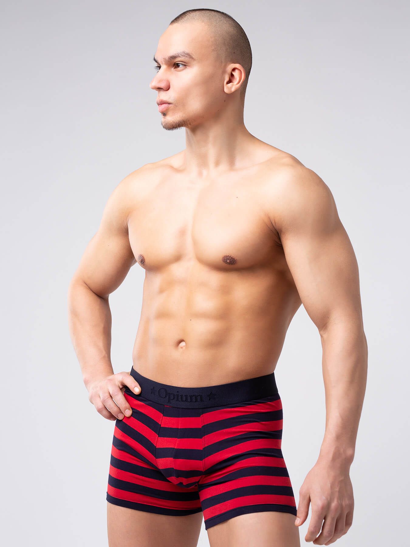 Эротическое трусы мужские удлиненные боксеры opium r126 в полоску в Краснодаре