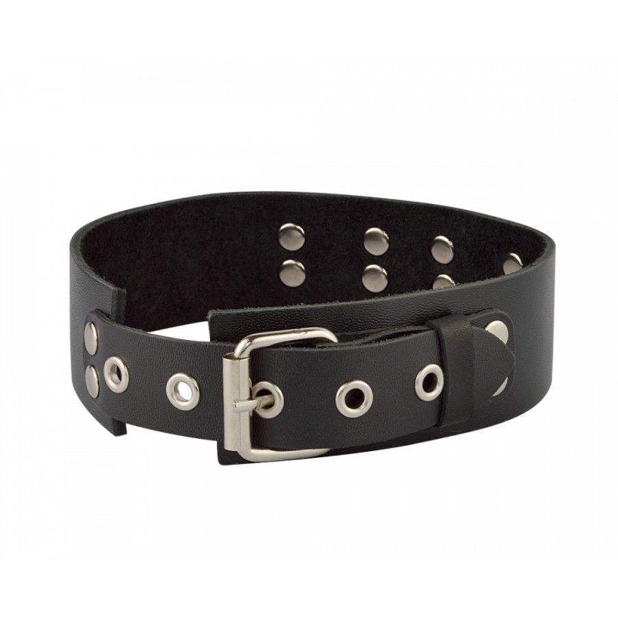 ошейник с кольцом 3195-1 в Краснодаре