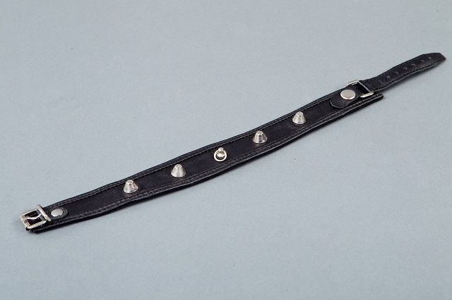 Ошейник узкий Подиум с окантовкой, чёрный