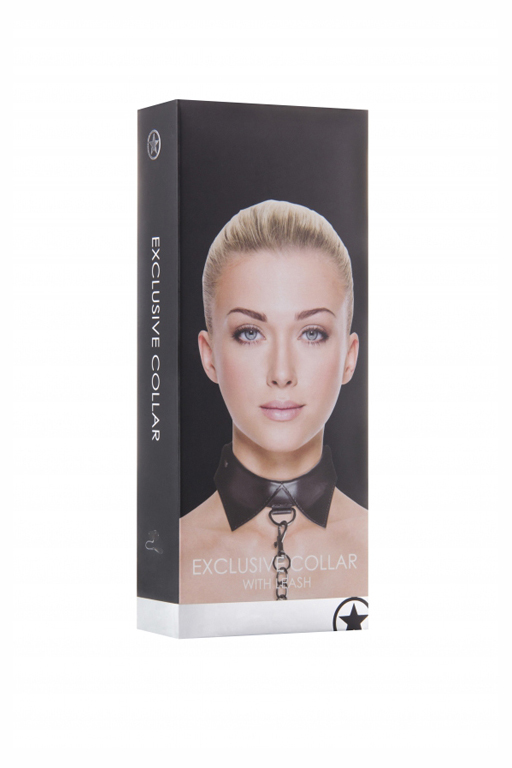 Эксклюзивный ошейник с поводком Exclusive Collar & Leash