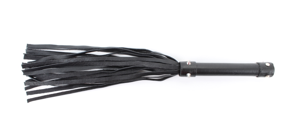 плеть с шипами 54042ars в Краснодаре
