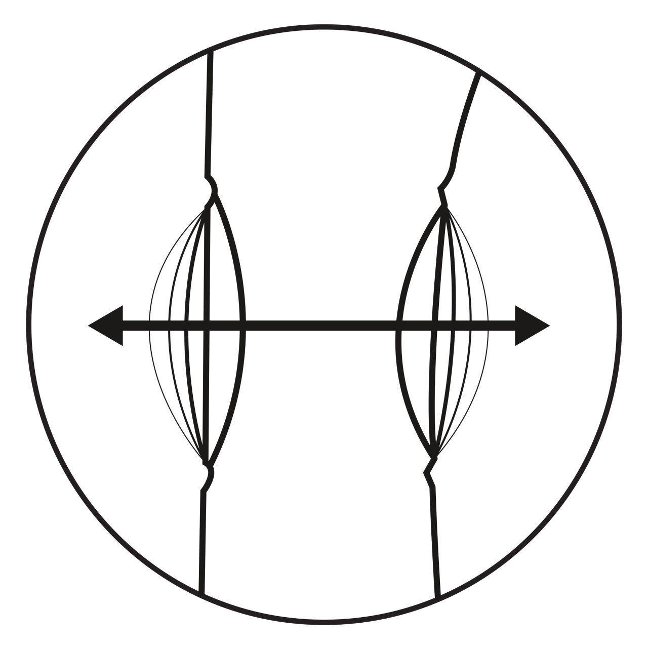 мультискоростной вибромассажер с функцией "пульсирующее воздействие" throb thumper в Краснодаре
