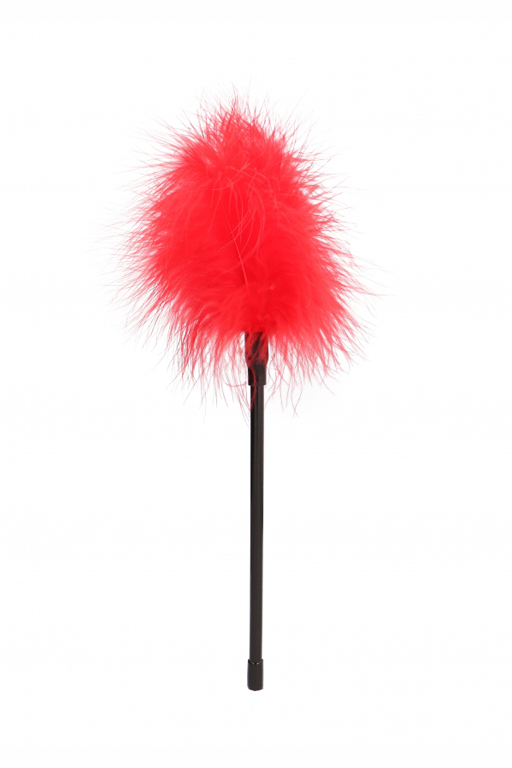 Пуховка (перьевая кисточка, щекоталка)  Feather