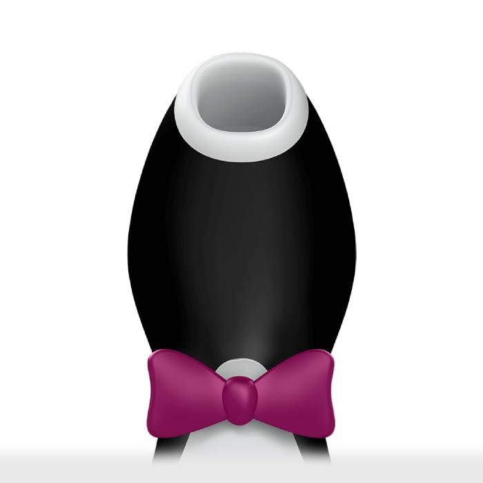 Satisfyer Pro Penguin 4.jpg